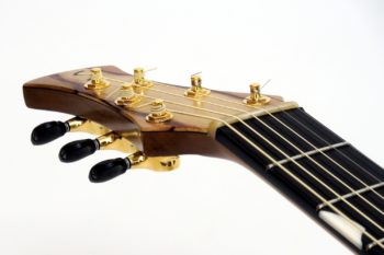 Evidence Tamarind Steel String with Fanned Frets NO Rosewood