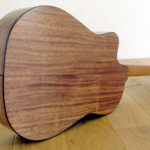 Nylon String Guitar Cutaway Modern Styles Indian Walnut
