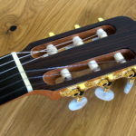 Nylon String Guitar Cutaway Modern Styles Indian Walnut