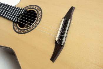 crossover nylon string guitar Alegra Laurel with fanfrets