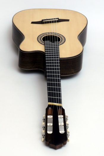 crossover nylon string guitar Alegra Laurel with fanfrets