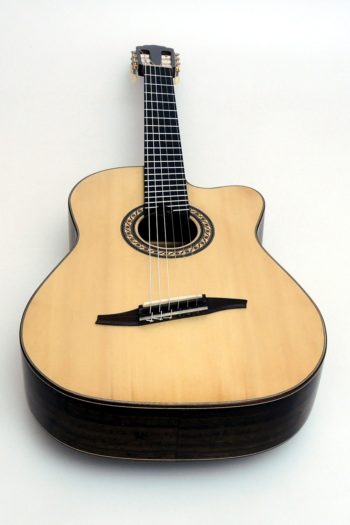 crossover nylon string guitar Alegra Laurel with fanfrets