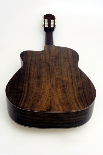 crossover nylon string guitar Alegra Laurel with fanfrets