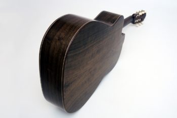 crossover nylon string guitar Alegra Laurel with fanfrets