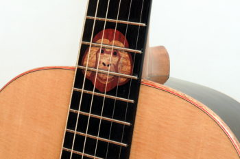 Anniversary Parlour Orang Utan Donation ebony inlay