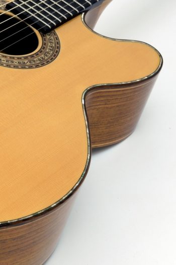 Lucille Double Cut Custom Acoustic Guitar abalone