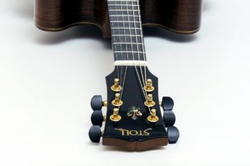 Lucille Double Cut Custom Acoustic Guitar abalone