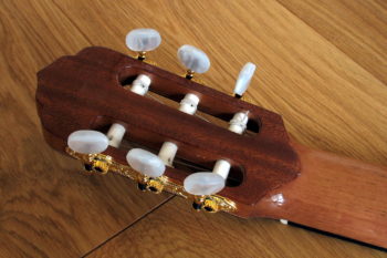 Small Nylon String Classic Guitar small hands Cutaway