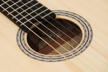 acoustic guitar rosette ambition tamarind