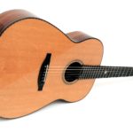 madagascar rosewood acoustic steel string guitar s-custom luthier Christian stoll