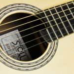 steel string guitar all solid ambition core luthier