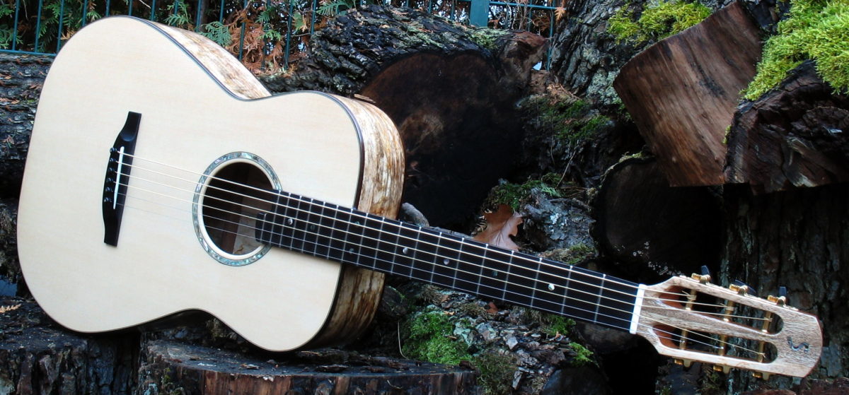 Steelstring guitar Ambition Fingerstyle 63cm for fingerpicker body spalted mango