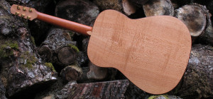 Steel String Guitar Indian Silver Oak - Back