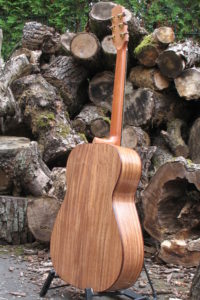 Steel String Guitar Ambition Indian Walnut - Back