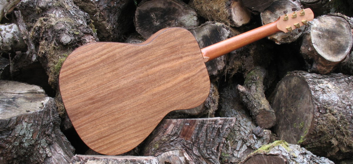 Steel String Guitar Ambition Indian Walnut - Back