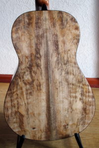 Steelstring Guitar Ambition Parlor Mango - Back