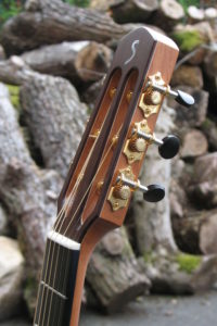 Steel String Guitar Fingerstyle Scale Length 63 Body American Walnut Top Sitka Sinker Wood