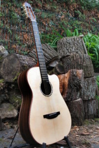 Steel String Guitar Ambition Fingerstyle with Cutaway, Fretboard Inlays and Bindings made of Pear