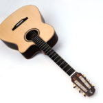 steel string fingerstyle guitar cutaway