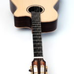 steel string fingerstyle guitar cutaway