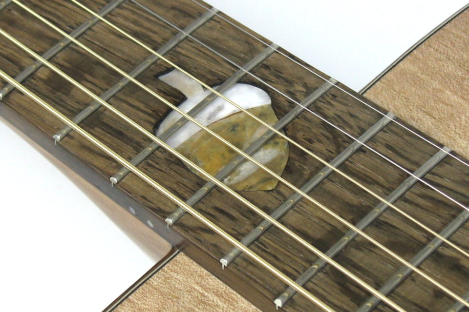 Local Wood Steel String Ambition Fingerstyle Walnut Stoll Guitars