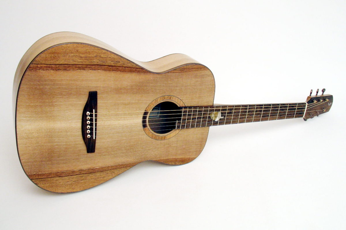 Local Wood Steel String Ambition Fingerstyle Walnut Stoll Guitars