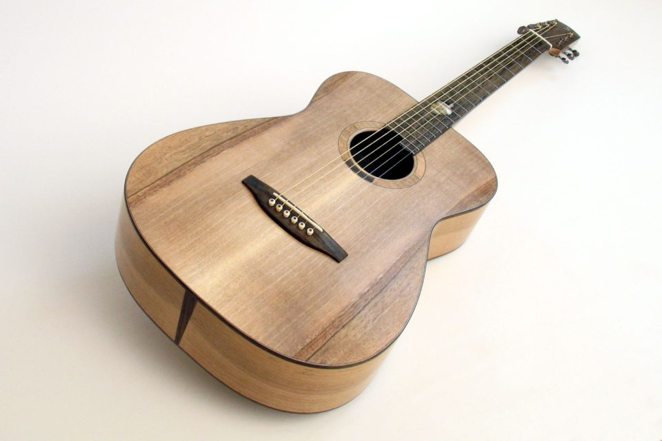 Local Wood Steel String Ambition Fingerstyle Walnut Stoll Guitars