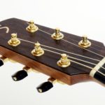 steel string guitar all solid ambition core luthier