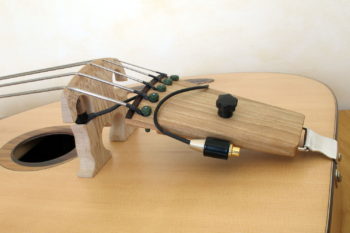 custom order bowable acoustic bass