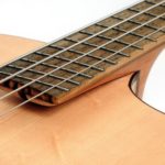 The Duke - Archtop Acoustic Bass